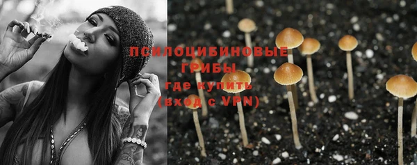 2c-b Армянск